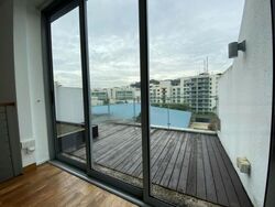 Radiance @ Bukit Timah (D21), Terrace #485923201